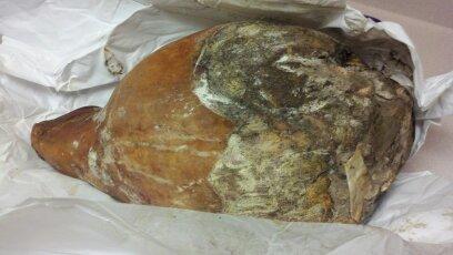 Out of the package.jpg