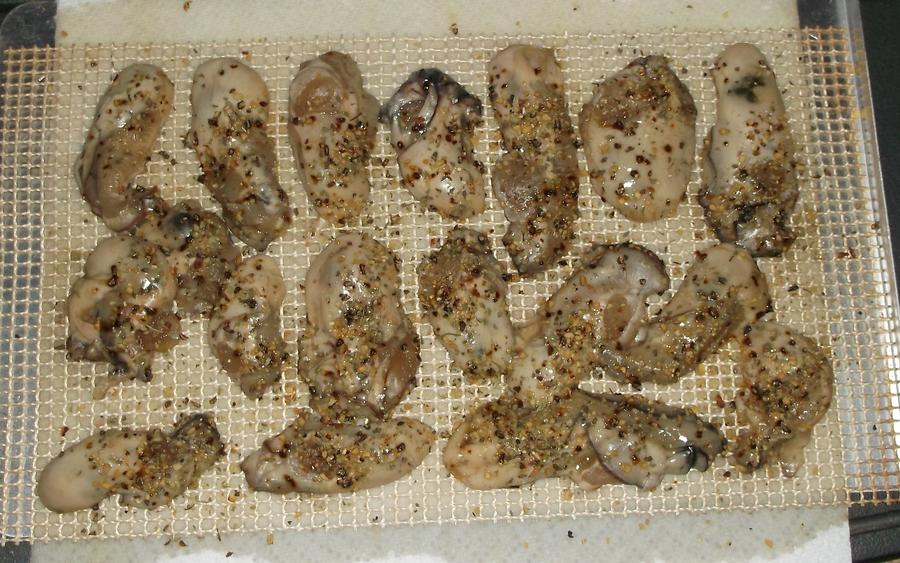 oysters 11-15 001.JPG