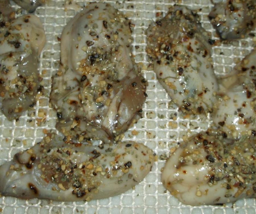 oysters 11-15 002.JPG