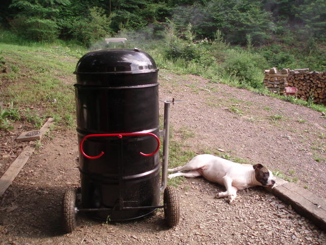P1010063.jpg