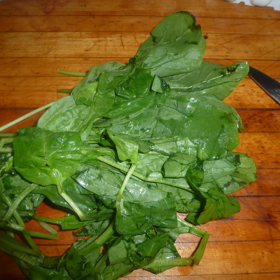 P1030481.JPG