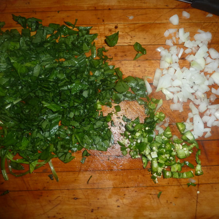 P1030487.JPG