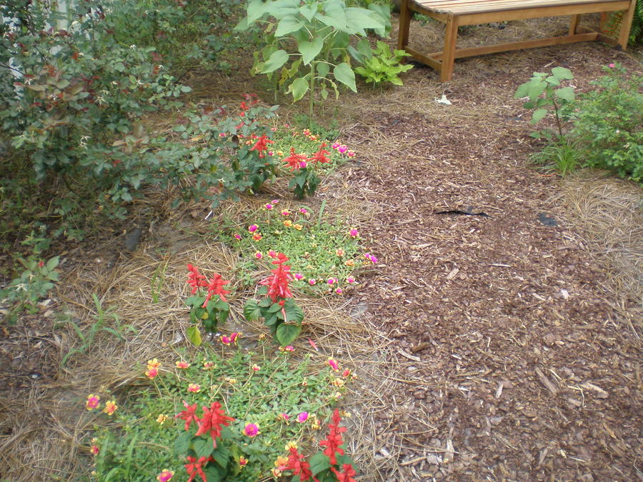 P6220015.JPG
