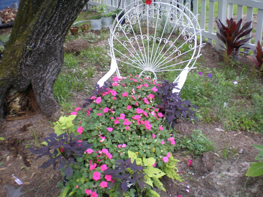 P6220019.JPG