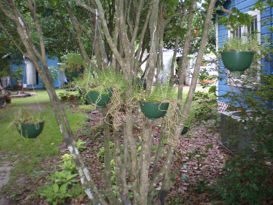 P6220029.JPG