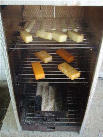 P7090831 (Small).JPG