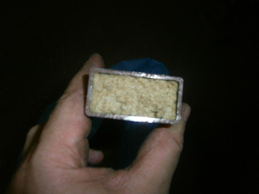 P8020010 - Kopie.JPG