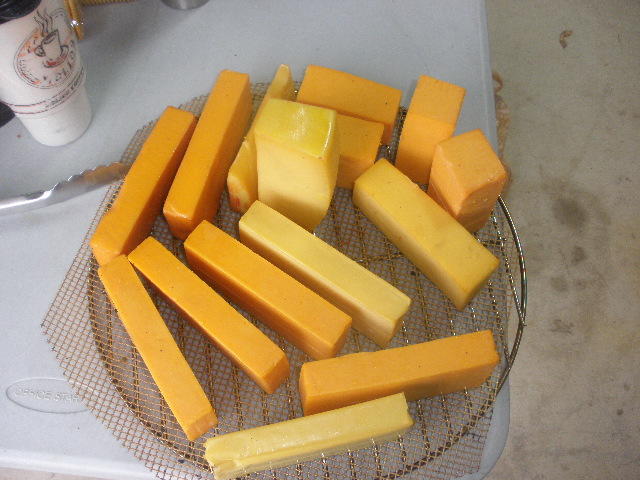 PA180008.JPG