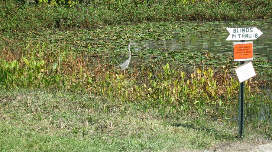 parkday with the kids 002.JPG