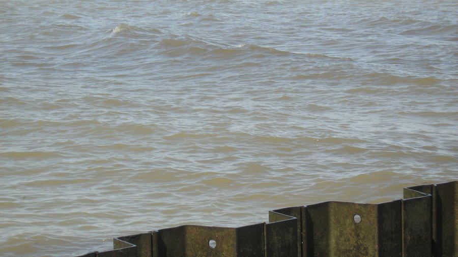 parkday with the kids 006.JPG