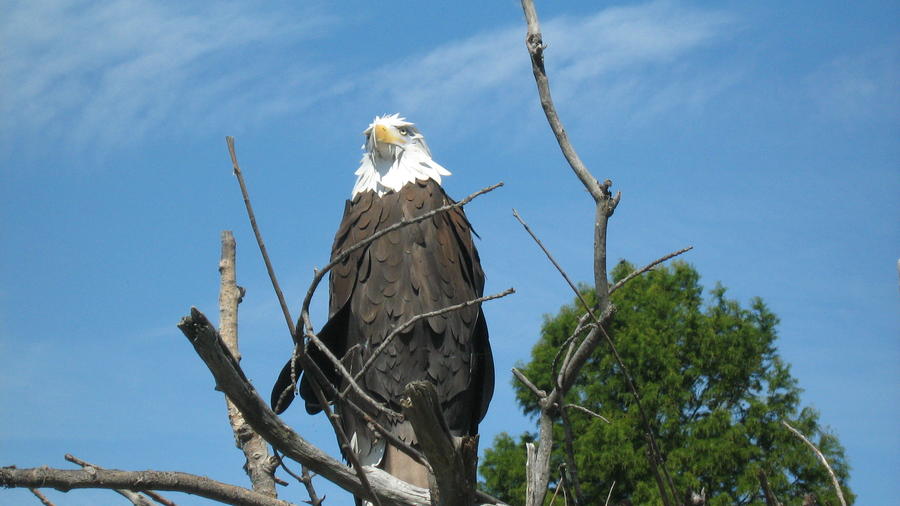 parkday with the kids 016.JPG