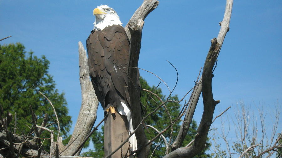 parkday with the kids 017.JPG