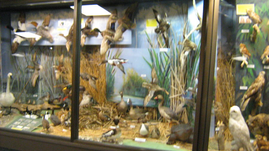 parkday with the kids 026.JPG