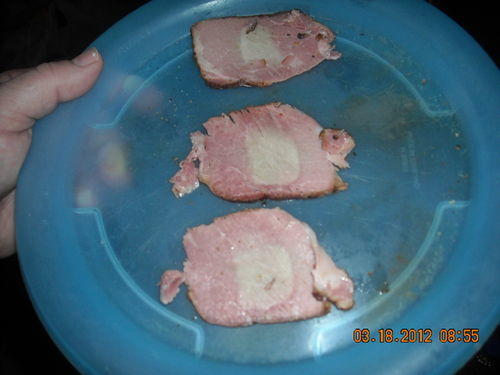 Partially Cured Meat.jpg