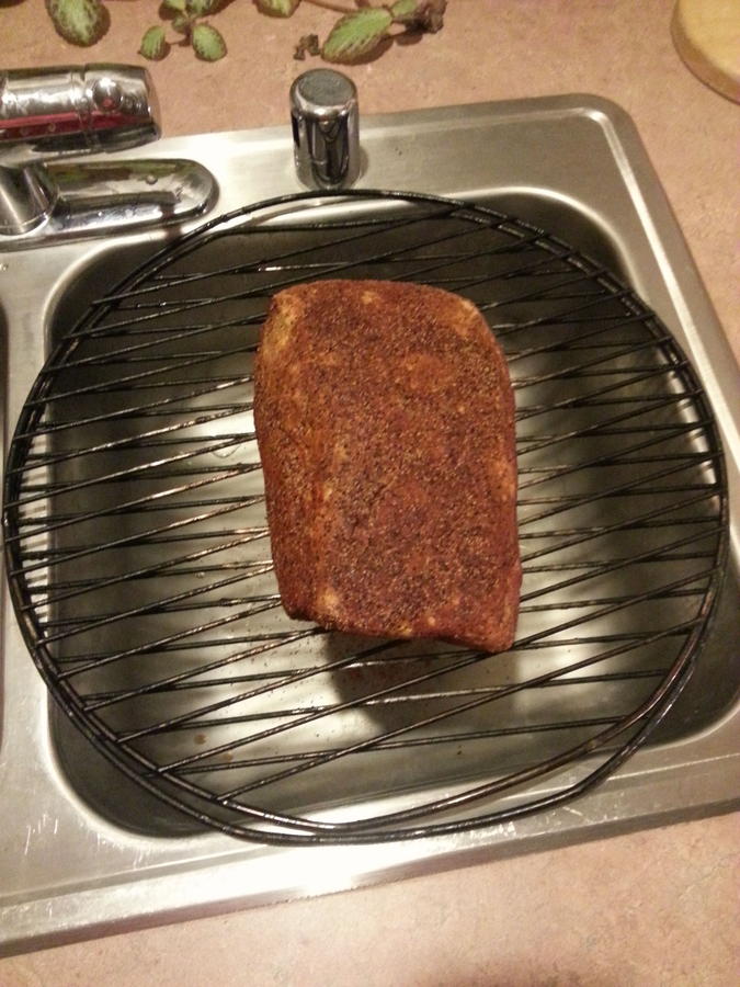 Pastrami project 1.jpg