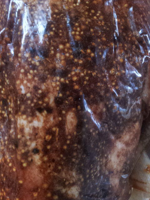 pastrami spiced and vac packed close up.jpg