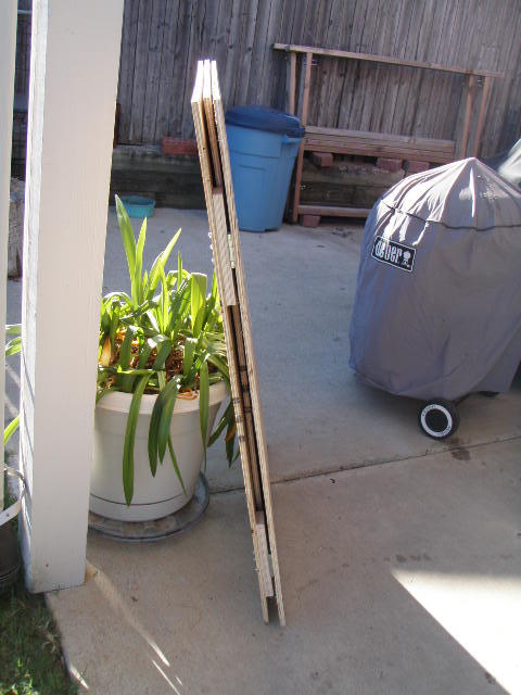 PB270087.JPG