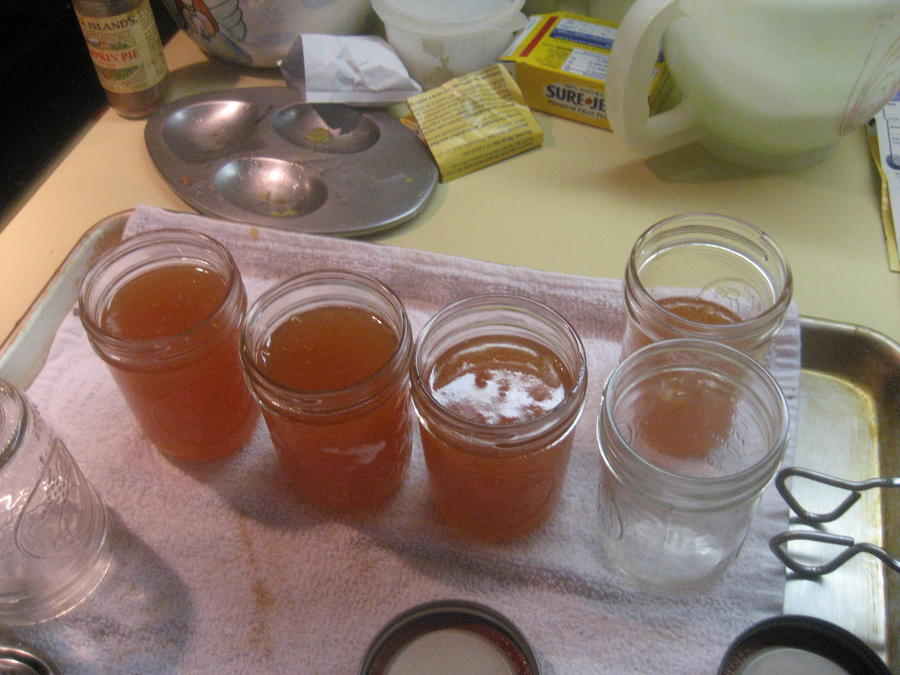 Peach Jelly 001.JPG
