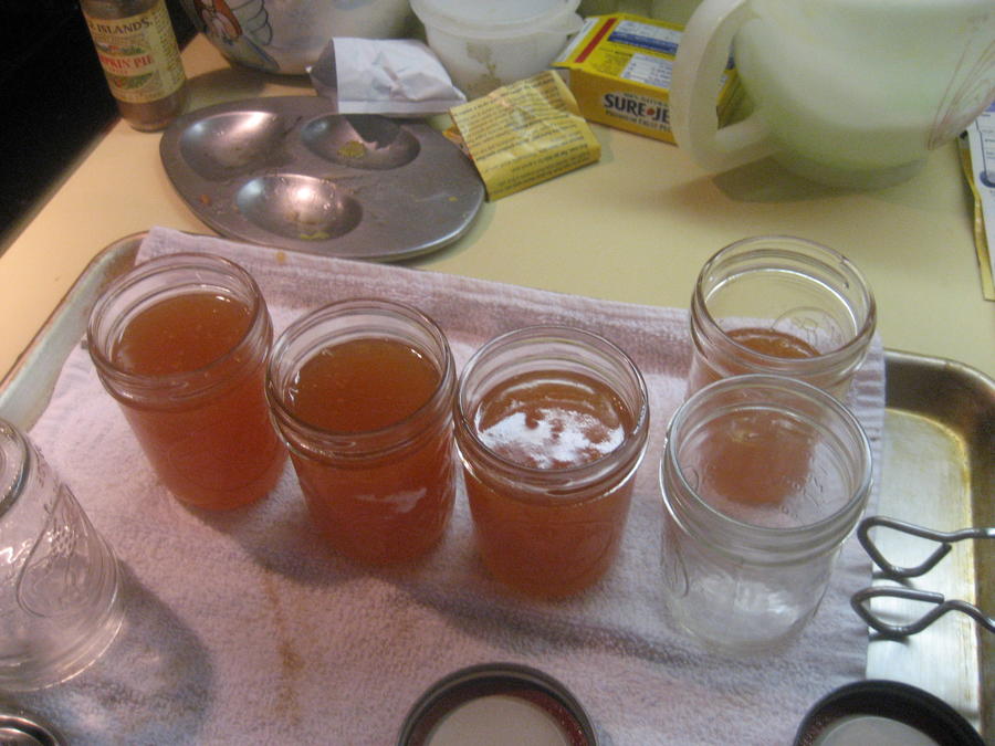 Peach Jelly 001.JPG