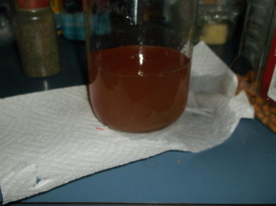 Peach Liqueur 005.JPG