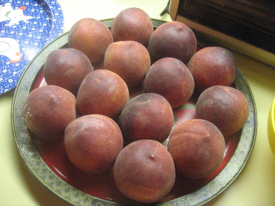 Peach Processing 001.JPG