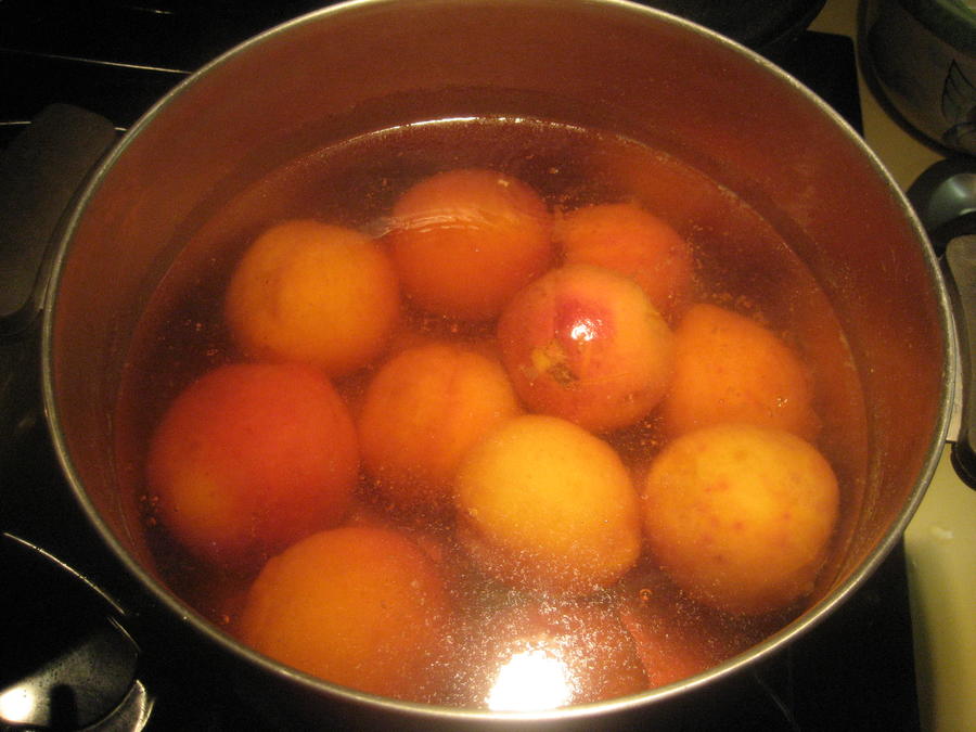 Peach Processing 003.JPG