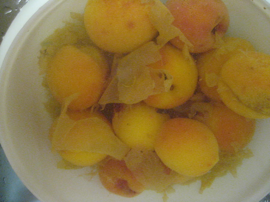 Peach Processing 005.JPG