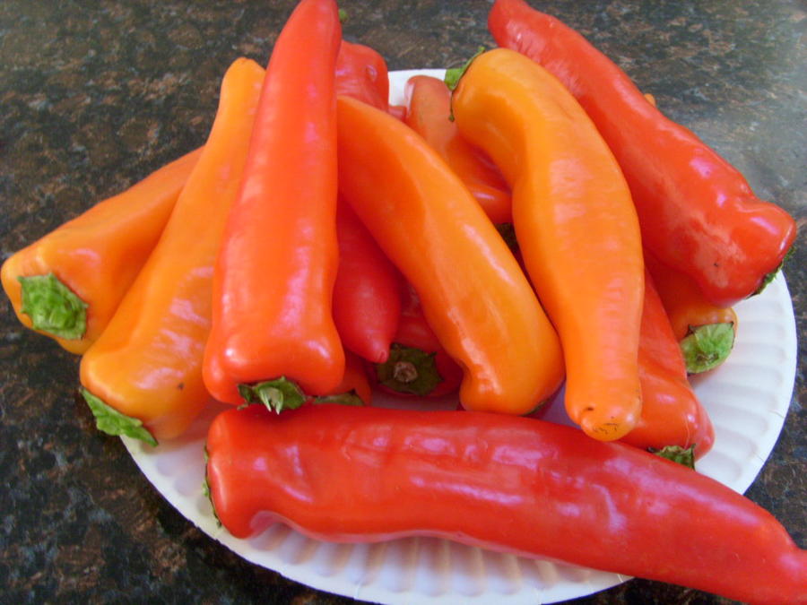 pepper.JPG