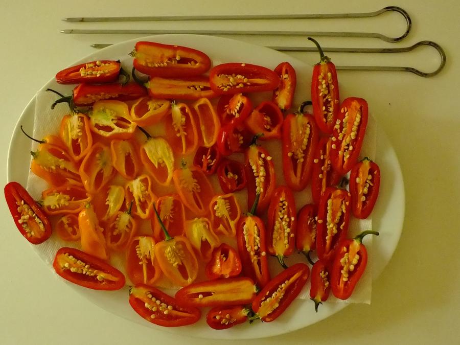 peppers_n_skewers.jpg