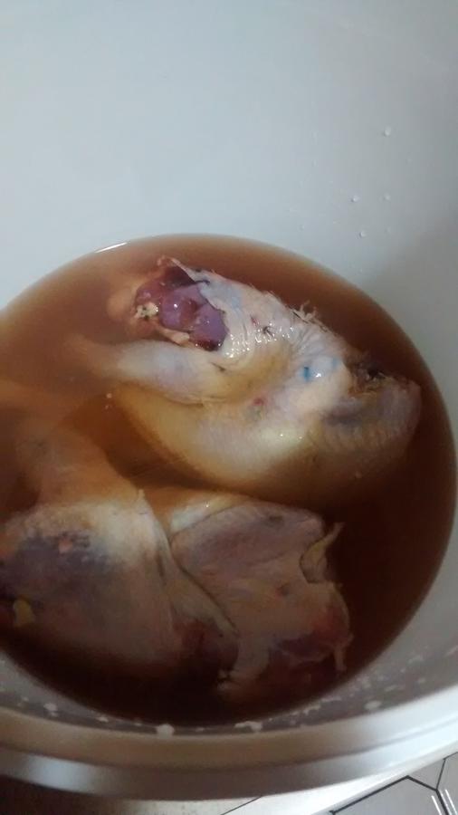 Pheasant 2.jpg