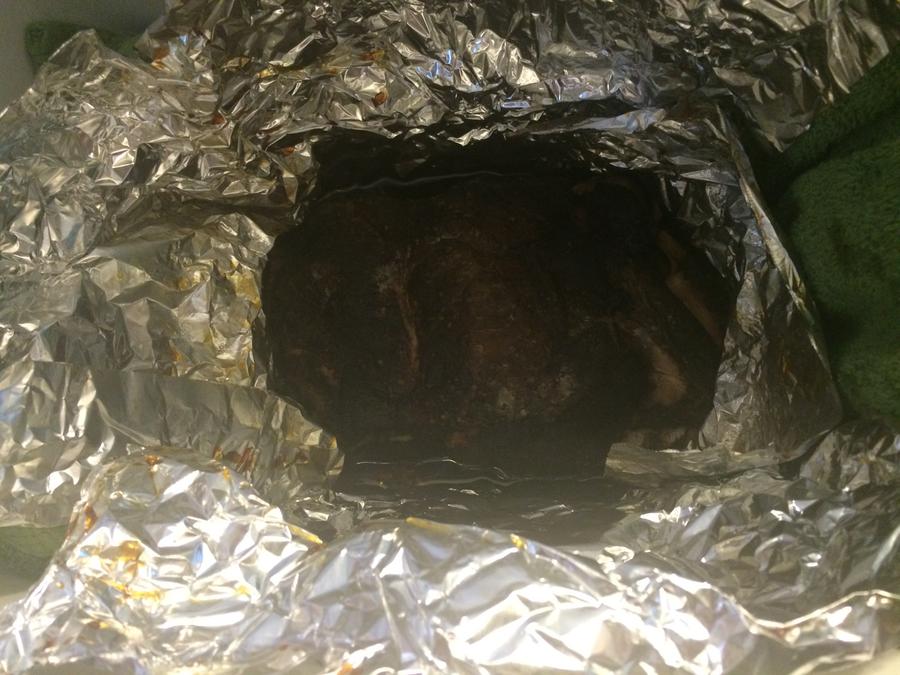 Photo May 23, 12 08 13 PM.jpg