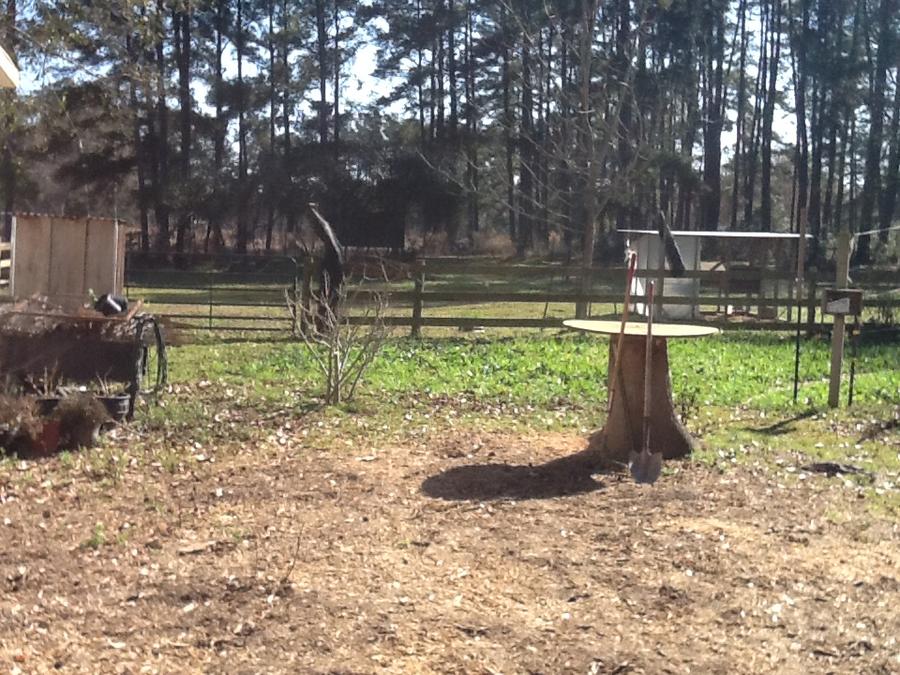 Pic 1 - Ground Breaking.jpg