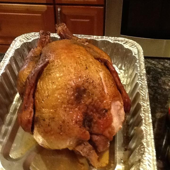 Pic 77 - Finished Turkey.jpg