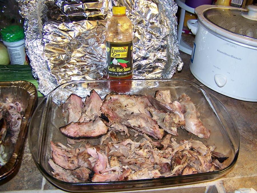 Picnic 10lb 7-15-10 003.JPG