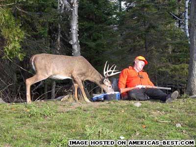 pics_redneck-bad-deer-hunter.jpg