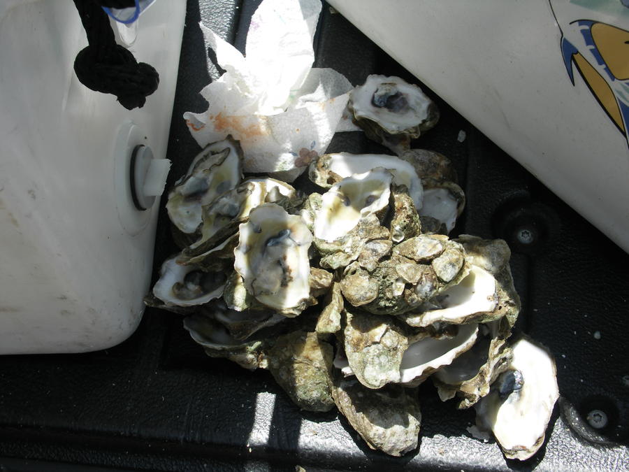 PICT0002.JPG