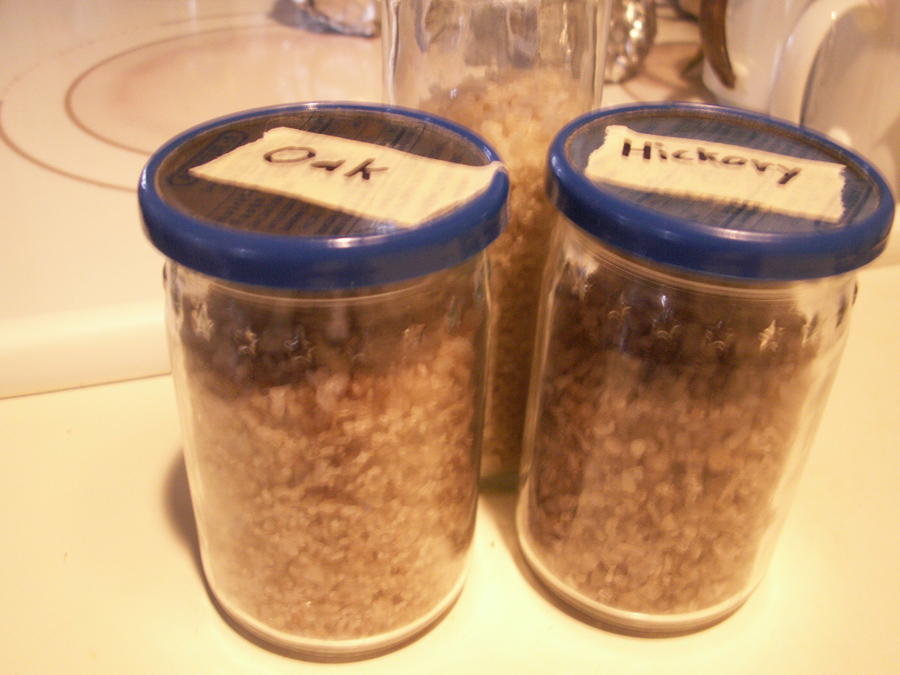 PICT0062.JPG