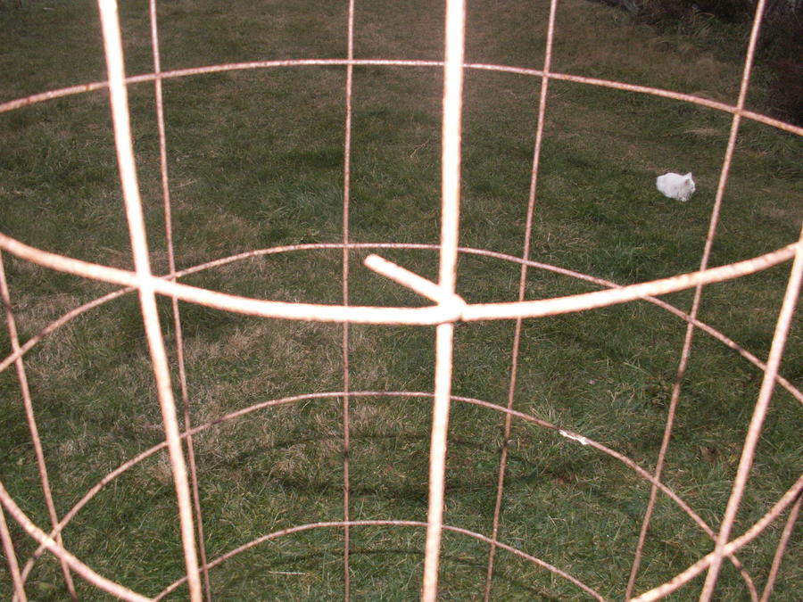 PICT0808.JPG