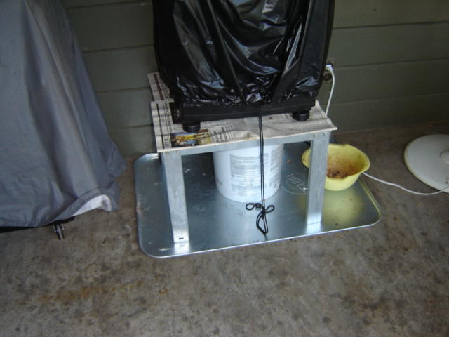 Picture 046.jpg