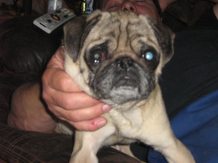 Picture 077.jpg