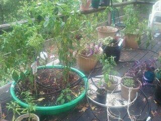 pictures7 29 10 139.jpg