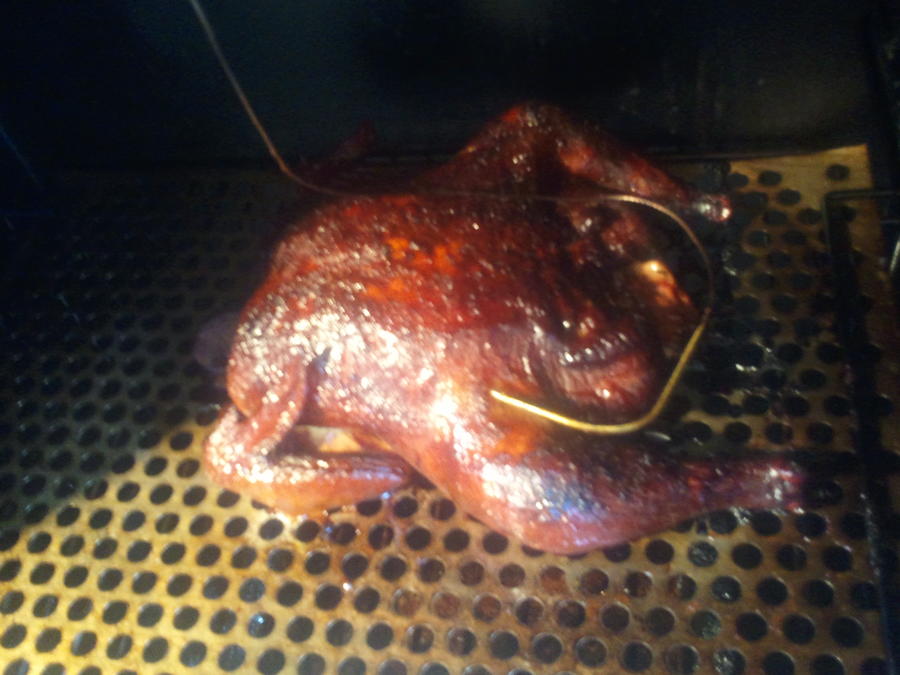 pictures7 29 10 164.jpg