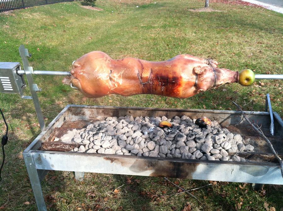 Pig (2).JPG