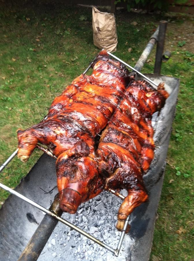 pig e.jpg