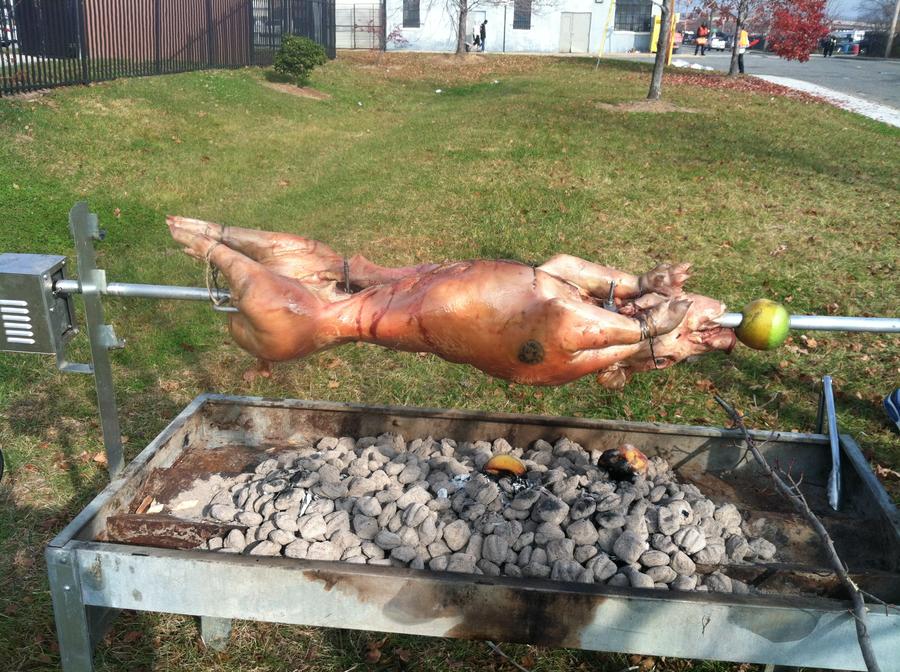 Pig.JPG
