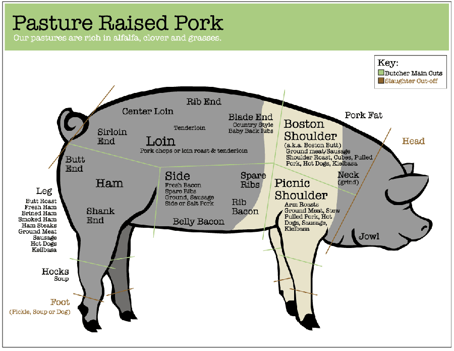 pig-large[1]900.gif