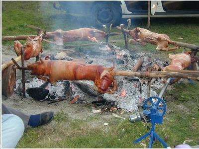 PIG ROASTER.jpg