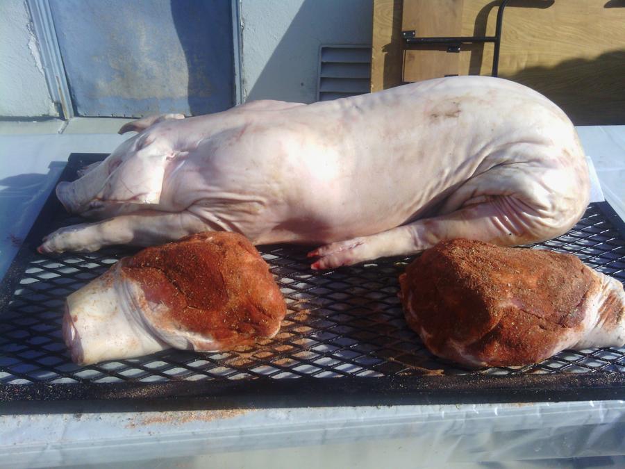 Pig1.jpg