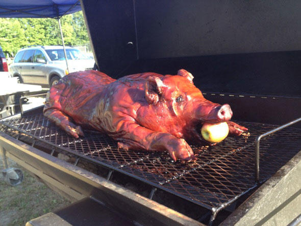 pigggy.jpg