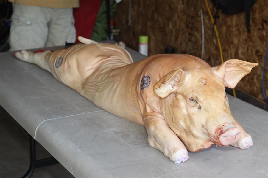 pigroast 2010 004.JPG